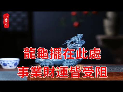 烏龜 寓意|【烏龜象徵意義】揭秘烏龜的象徵意義：從寓意到古老。